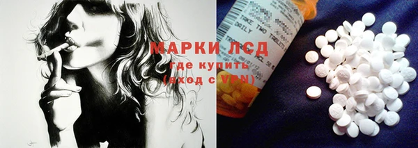 молекула духа Заволжье