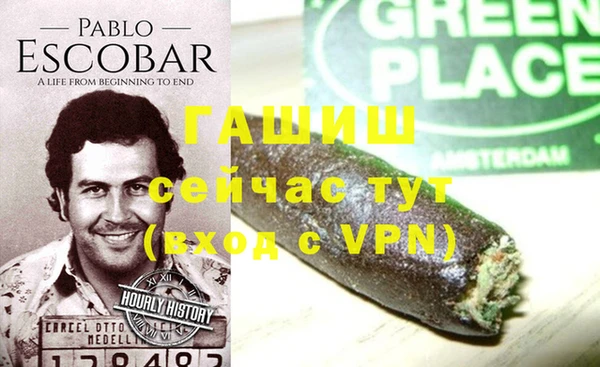 прущие грибы Краснотурьинск